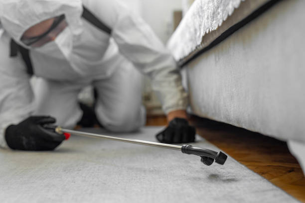 Professional Termite Control technician working in Bennington, NE