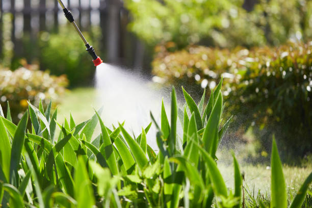 24/7 Emergency Termite Control experts in Bennington, NE